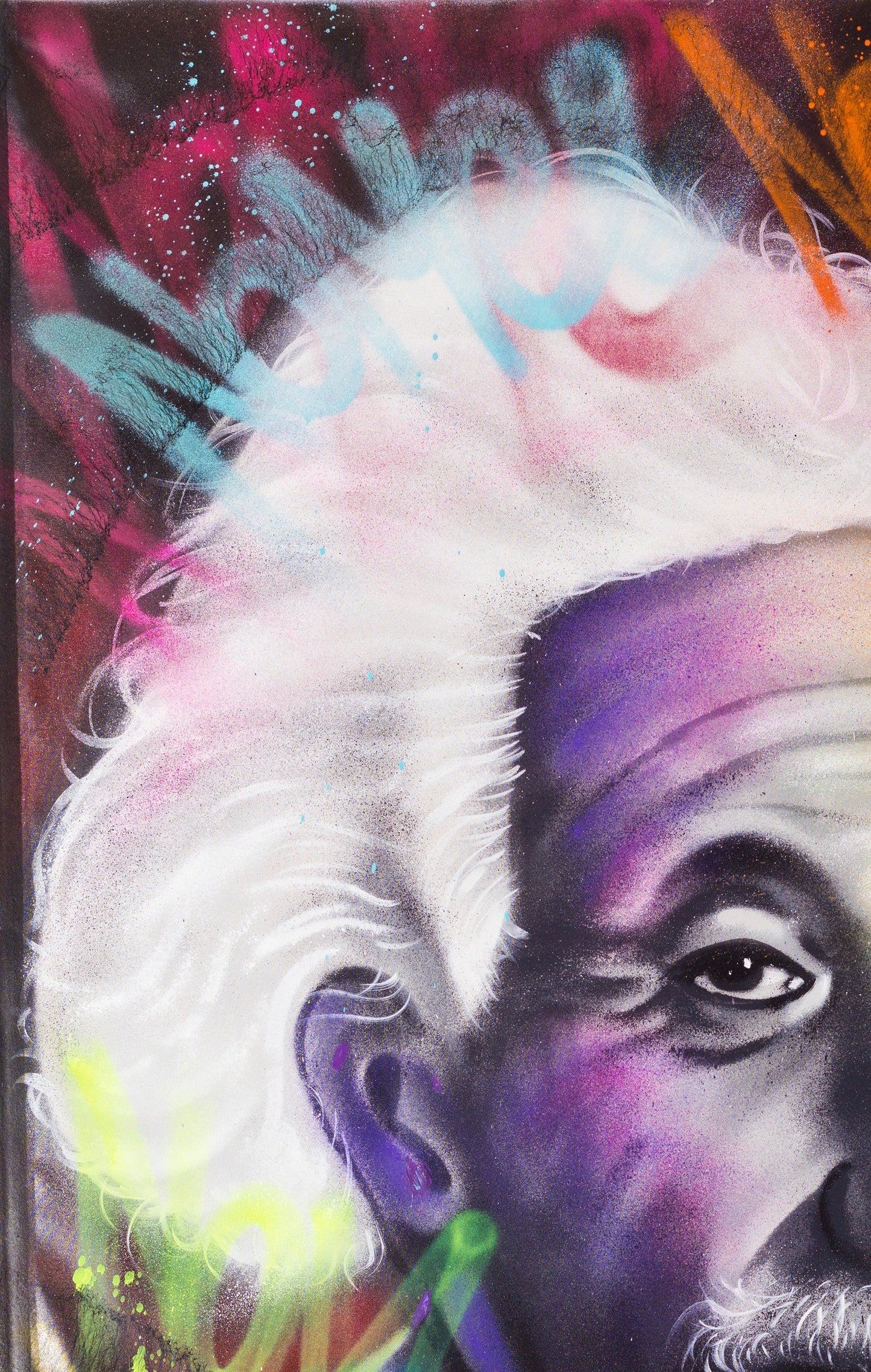 VANDAL EINSTEIN - NOMEN