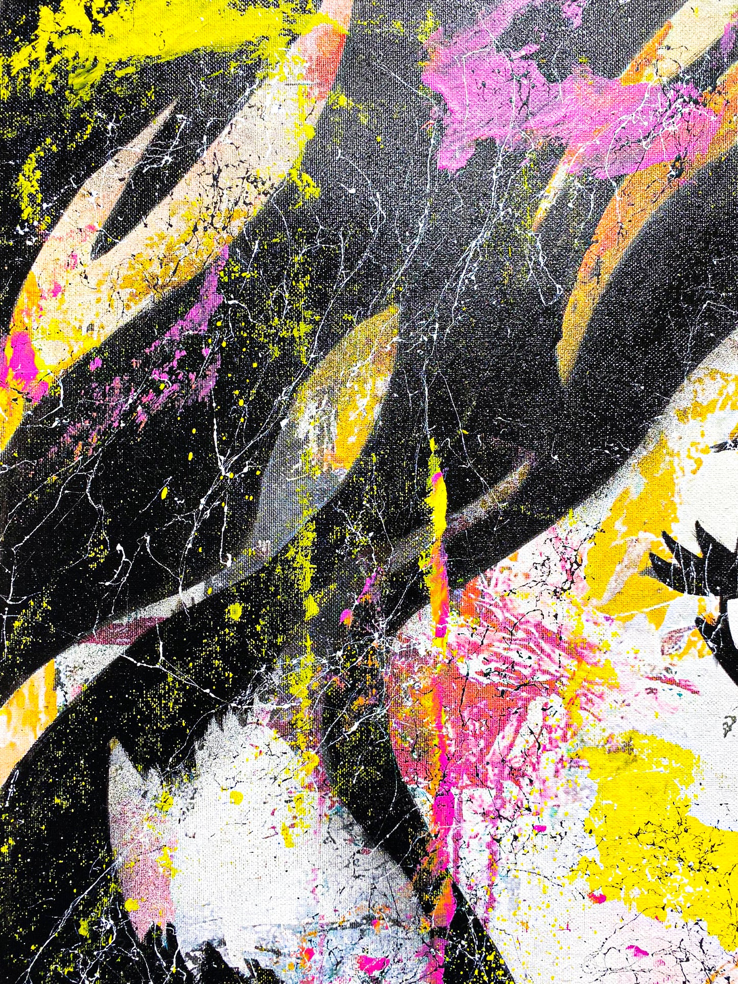 VANDAL WONDER WOMAN- GSUS
